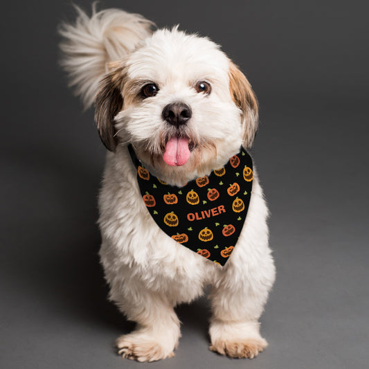 Personalised Pumpkin Patch Dog Bandana Peach Bomb Fashion, Jewellery, Homeware & Gifts Pet Gifts