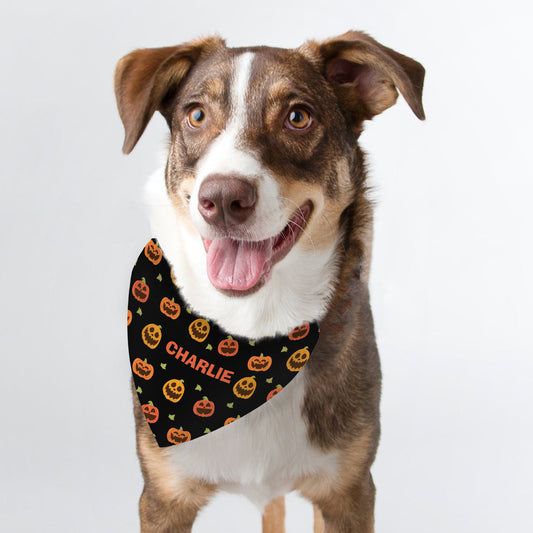 Personalised Pumpkin Patch Dog Bandana Peach Bomb Fashion, Jewellery, Homeware & Gifts Pet Gifts