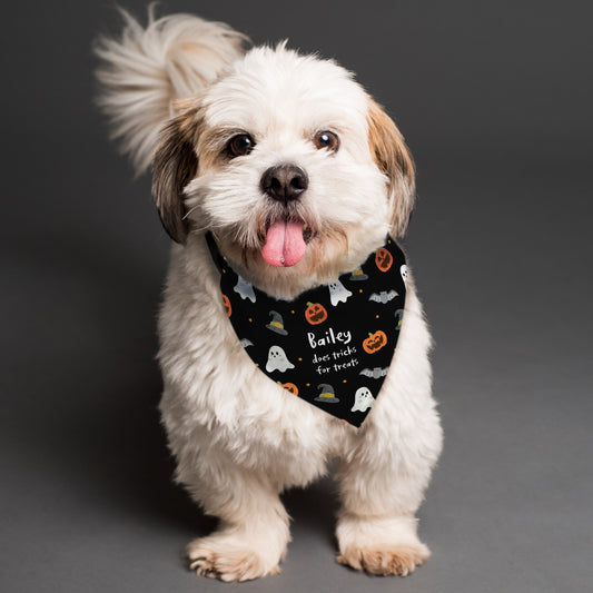 Personalised Halloween Dog Bandana Peach Bomb Fashion, Jewellery, Homeware & Gifts Pet Gifts
